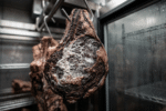 Olgunlaştırma kabininde asılı dry aged antrikot üzerindeki beyaz küf tabakası ve koyu bordo kabuk