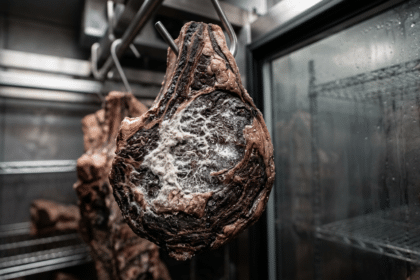Olgunlaştırma kabininde asılı dry aged antrikot üzerindeki beyaz küf tabakası ve koyu bordo kabuk