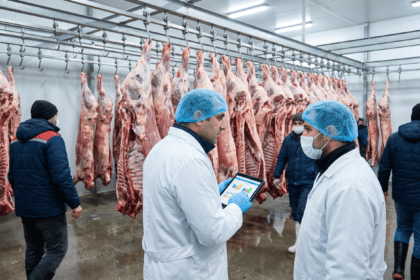 Soğuk odada asılı dana karkas yarımları ve tablet üzerinde fiyat grafiklerine bakan alıcı