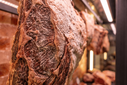 Dry aged et yüzeyindeki beyaz kadifemsi küf florası ve kuru kabuk makro görünüm