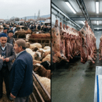Soğuk hava deposunda raylarda asılı dana karkasları ve fiyat listesi