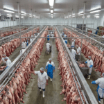 Toptan et halinde raylarda asılı dana ve kuzu karkasları